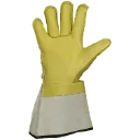 3323 (2).webp