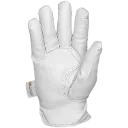 3327 (2).webp
