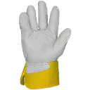 3335 (2).webp