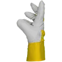 3335 (3).webp