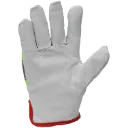3336 (2).webp