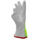 3336 (3).webp