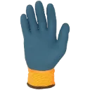 6237 (2).webp