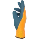 6237 (3).webp