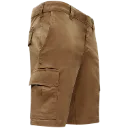 4868 (3).webp