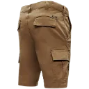 4868 (2).webp