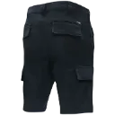 4869 (2).webp