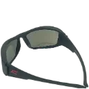 4263 (2).webp