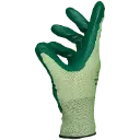 3437 (3).webp
