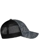 6976 (3).webp