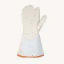 361DLXFTL(2).webp