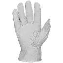3295 (2).webp