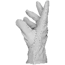 3295 (3).webp