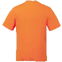 7081 (2).webp