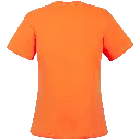 7092 (2).webp