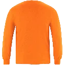 7986 (2).webp