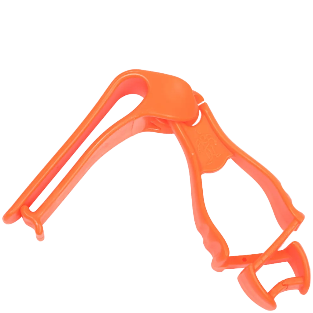 236 (2).webp