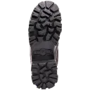 2185 (2).webp