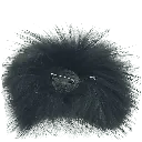 5582 (2).webp