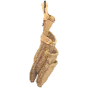 3058 (2).webp