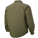 6545 (2).webp