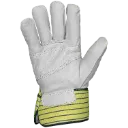 3342 (2).webp