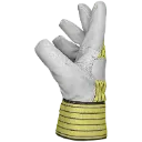 3342 (3).webp