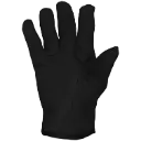 3351 (2).webp