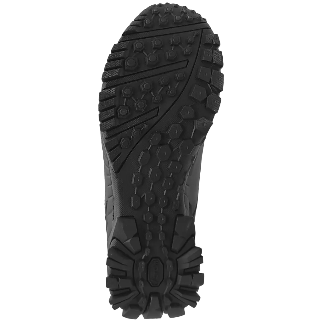 2293 (2).webp