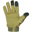 6219 (2).webp