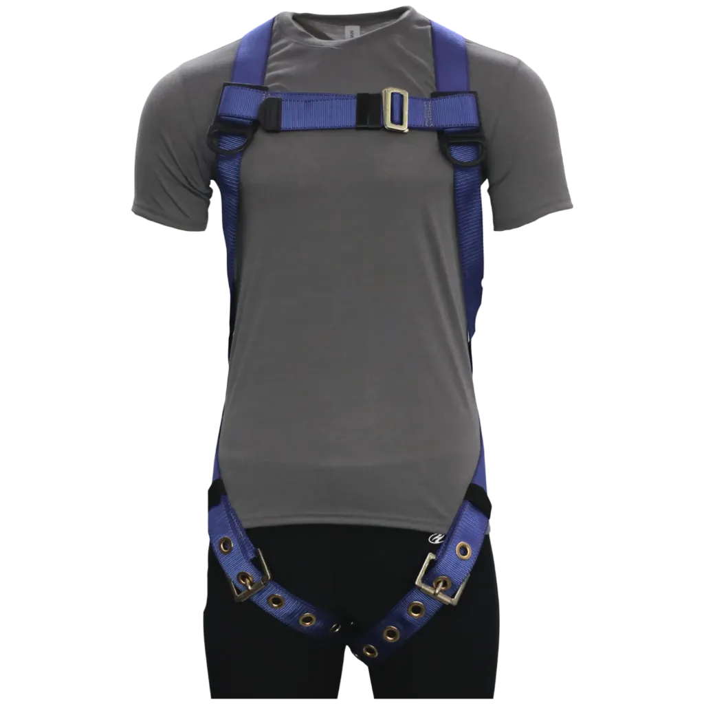 16H33102FI Harnais Bleu -DENTEC